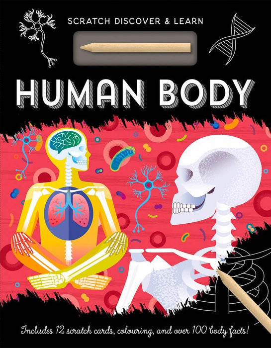Independent Publishers Group - Human Body